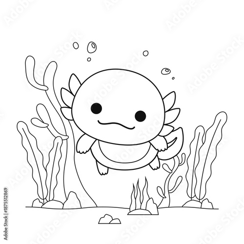 Axolotl Anatomy Coloring Page Outline For Biology Education