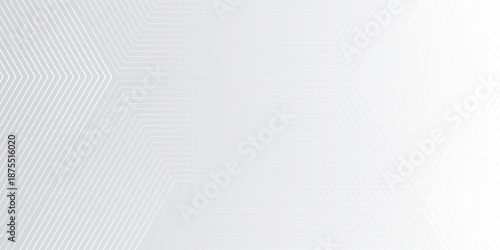 Minimalist gray background with hexagon geometric lines. The gray background features a smooth texture with subtle gray gradient and white lines.