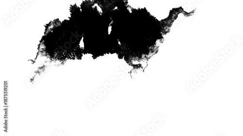 Black Paint Flow Creating Organic Abstract Pattern