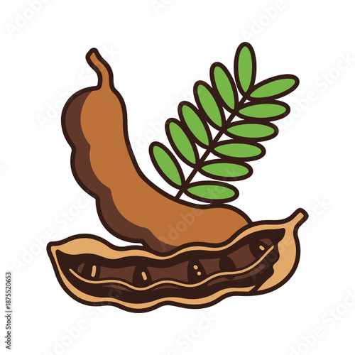 Tamarind Fruit Illustration with Leaves and Seeds, Vector Graphic of a Tropical Bean Pod