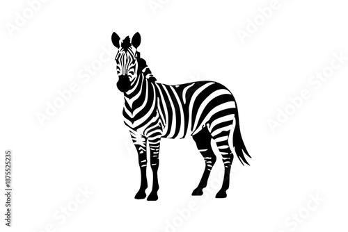 Zebra silhouette on white isolated background