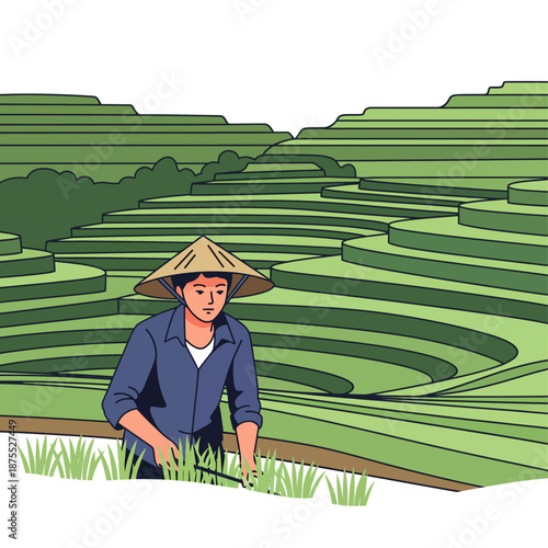 Asian Farmer Working in Terraced Rice Paddy Field