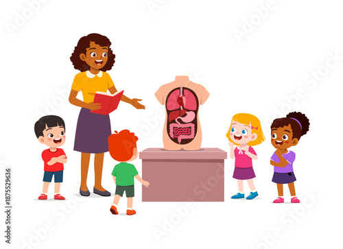 African American teacher happily explaining human anatomy to an excited diverse group of children with a body model
