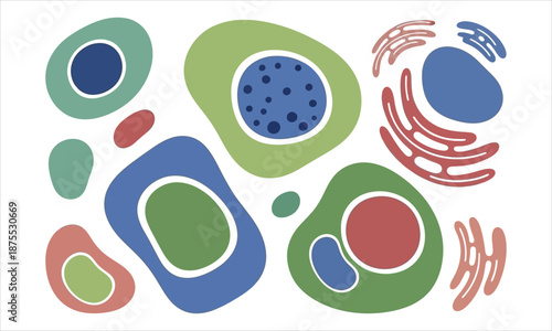Abstract Representation of Biological Cells and Organelles
