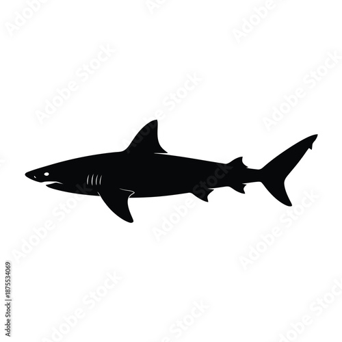 black silhouette of a shark on a white background