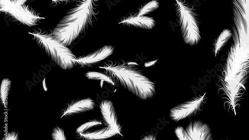Isolated Gently White Feathers Explosion. Abstract Animation With Black Background. 25fps