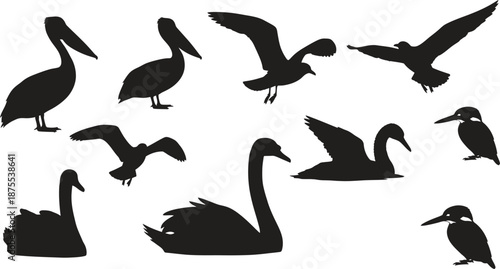 Collection of various bird silhouettes including swans pelicans and penguins