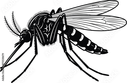 Detailed mosquito insect silhouette icon for malaria prevention and pest control health awareness, cad drawing flat vector illustration on a white background.