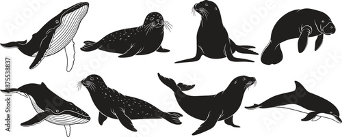 Silhouette of various marine mammals including seals and sea lions in different poses