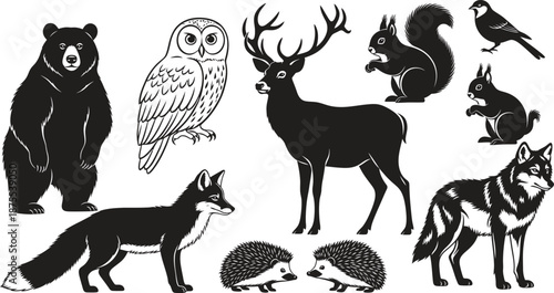 Woodland animal silhouette illustrations including bear owl deer and squirrel