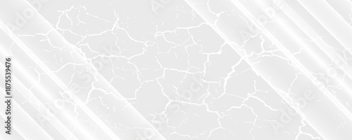 white paper texture background close up eps 10.