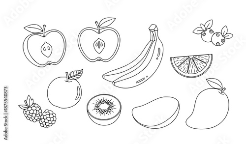 Fruit coloring book pages for toddlers simple line art vector illustration isolated on white
