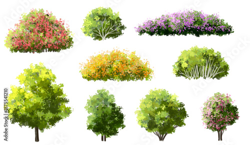 Vertor set of green tree,plants side view for landscape elevations,element for backdrop,eco environment concept design,watercolor greenery scene,shrub