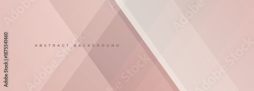 Soft pink modern abstract wide banner with geometric shapes. Pastel brown or beige abstract background. Vector illustration