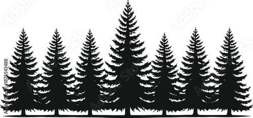 Pine forest tree silhouettes, evergreen woodland landscape, dark nature background, wild conifer trees,  
