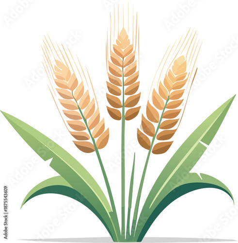 Three wheat stalks with green leaves and golden ears standing upright in a simple illustration