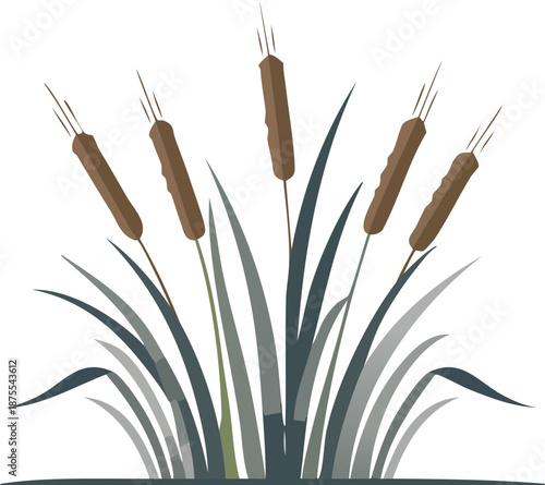 Cluster of cattails standing tall amidst foliage in a serene wetland scene from a frontal viewpoint