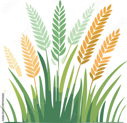 Illustration of wheat and grass blades in various stages of growth and color