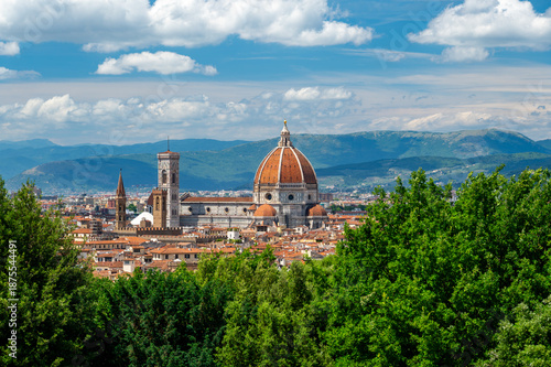 Panoramic view of Florence (Firenze), Italy, showing rooftops, landmarks like Palazzo Vecchio and Santa Maria del Fiore with its red dome, and hills with forests on a sunny summer day.