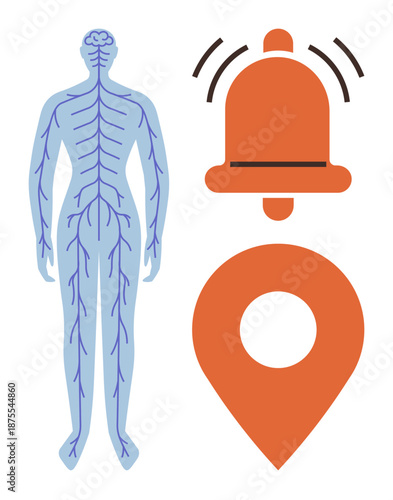 Nervous system, healthcare alerts, medical monitoring, emergency signals, brain activity, diagnostics. Human outline with neural pathways, alert bell and location pin. Healthcare alerts and medical