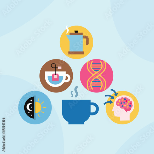 The biological effects of caffeine consumption