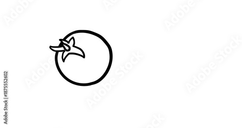 Tomato black and white rotating on blue screen. Cartoon whiteboard linear animated food plant vegetables fragment orbiting isolated on bluebox background. 