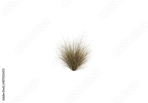 Dry desert grass bush brown and tan png on transparent background