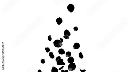 A minimalist vector graphic of black petals floating upwards on a white background