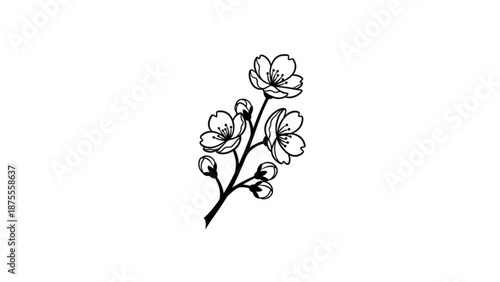 A minimalist black and white illustration of a blooming flower branch with buds and blossoms