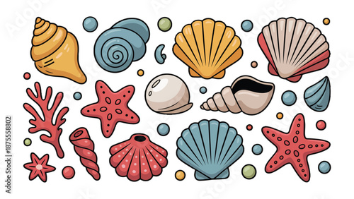 Seashell Collection: A vibrant assortment of unique seashells, each with a distinctive form, color, and pattern, meticulously arranged to showcase the diverse beauty of marine life.