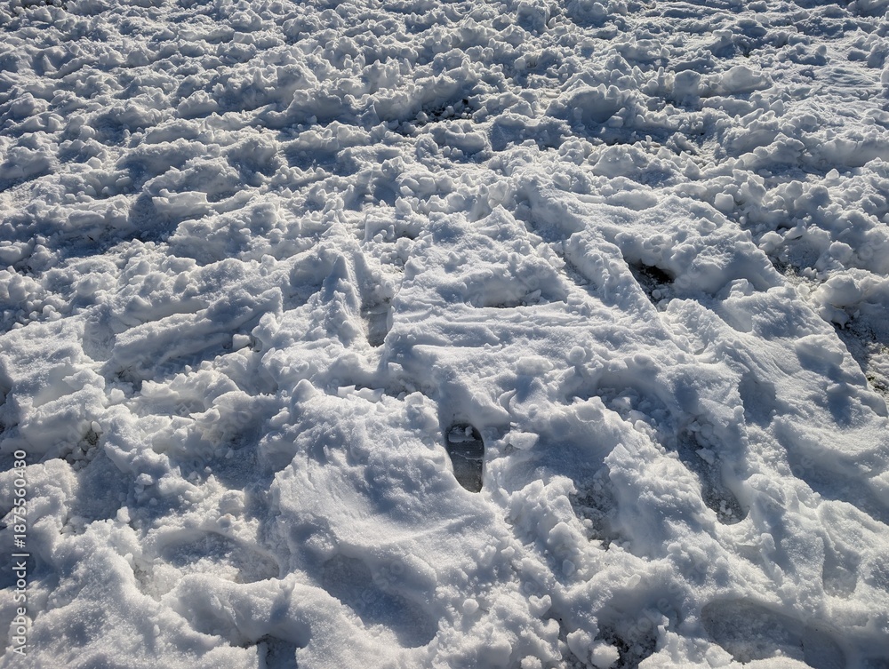 Obraz premium Snow in a field in winter