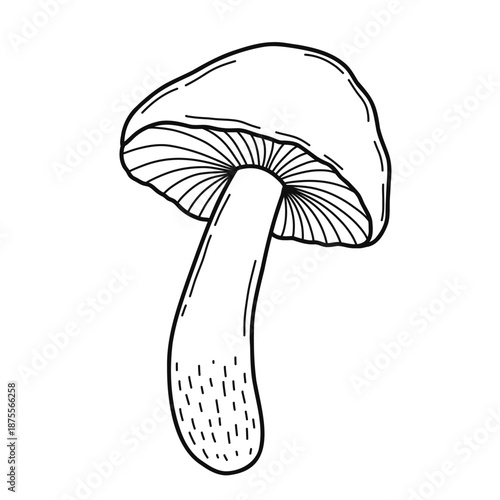 doodle line art style mushroom is drawn in black and white. mushroom is shown with its stem pointing up. mushroom is main focus of image and it is simple and elegant drawing