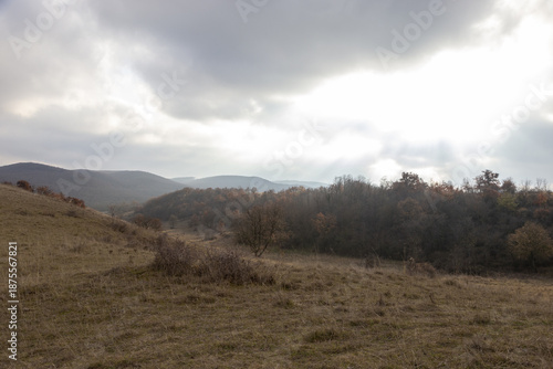 Sonne über eine graue Wiese im Herbst