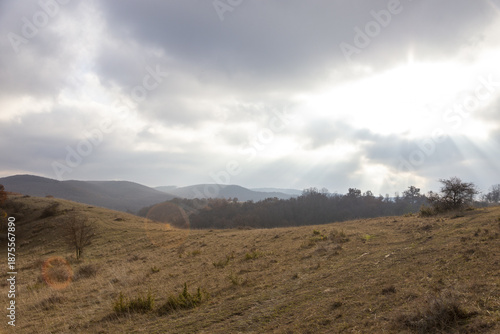 Sonne über eine Wiese im Herbst
