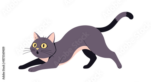 A playful gray cartoon cat with wide eyes and a surprised expression is in a pounce-ready pose on a white background.