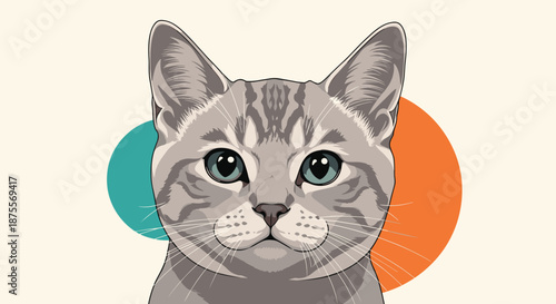 A detailed close-up portrait of a beautiful silver tabby cat with blue eyes looking directly at the camera on a simple background.