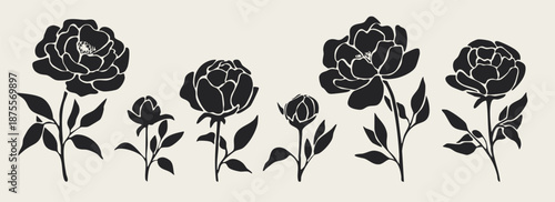 Black peony silhouettes set, hand drawn floral elements collection, botanical flower stencils for logo and wedding design