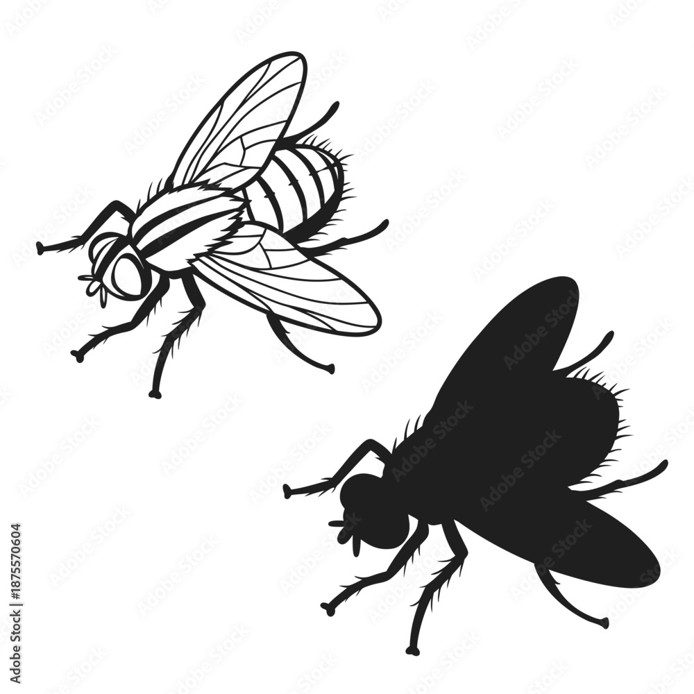 Fototapeta premium “House fly vector illustration set with outline and solid silhouette style for biology, pest control, and nature graphics.”