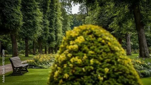 Tranquil park scene featuring bench pathways and trees under natural light