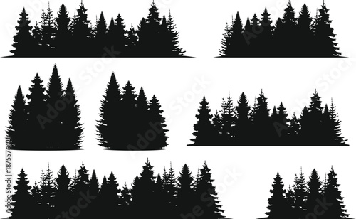  evergreen forest landscapes and trees.