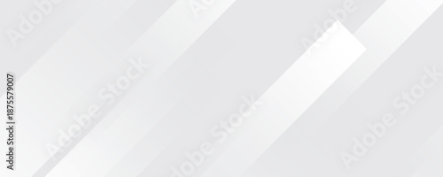 White abstract background. Silver effect texture. Light gray colour textur. Grey platinum pattern. Modern backdrop. Gradient delicate surface print. Design bg for business prints. Vector illustration