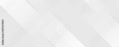 White abstract background. Silver effect texture. Light gray colour textur. Grey platinum pattern. Modern backdrop. Gradient delicate surface print. Design bg for business prints. Vector illustration