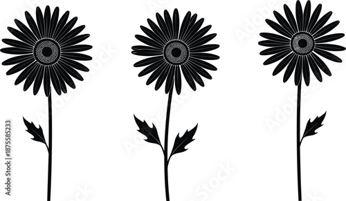 Detailed black daisy flower silhouettes with stems and leaves set isolated on white for spring garden nature patterns and floral design.