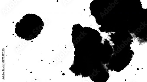 Minimal Abstract Black Ink Motion on White