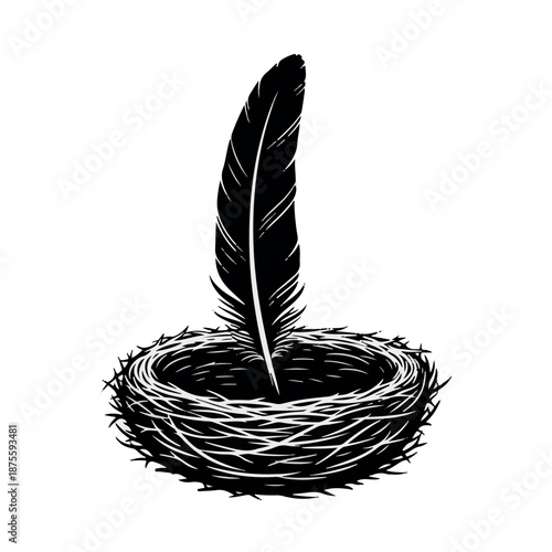 Black feather in a bird nest silhouette black and white twig