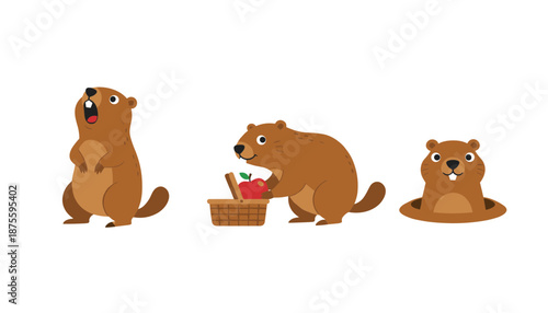 Adorable woodchuck or groundhog character collection showing different poses screaming having a picnic with apple and peeking from a hole