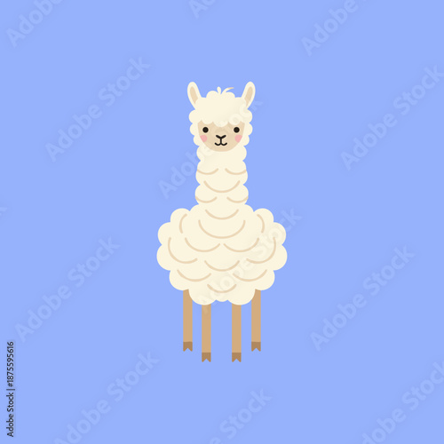 Cute white fluffy alpaca or llama character standing on a blue background simple flat animal illustration for greeting cards and posters