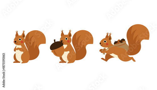 Red Squirrel Character Collection Gathering and Carrying Acorns, Set of Three Cute Squirrel Illustrations in Different Poses for Autumn Theme Design