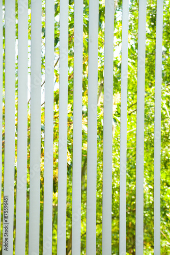 Vertical window blinds half closed, with sunlit foliage of tree branches with leaves showing through.