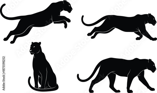 Black silhouette set of a panther or leopard in different poses including jumping walking and sitting isolated on a white background for design